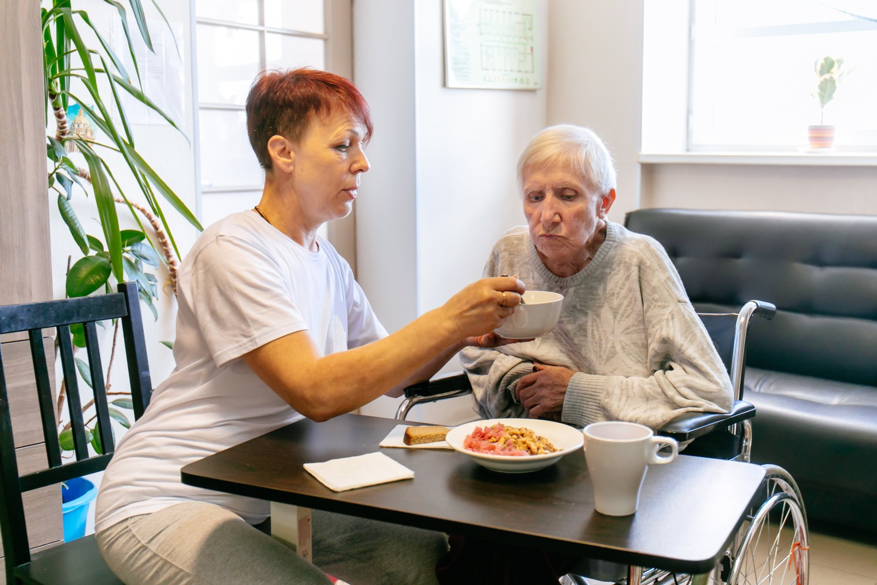 Nutrition Support in Palliative Care: Meeting the Unique Needs of End-of-Life Patients