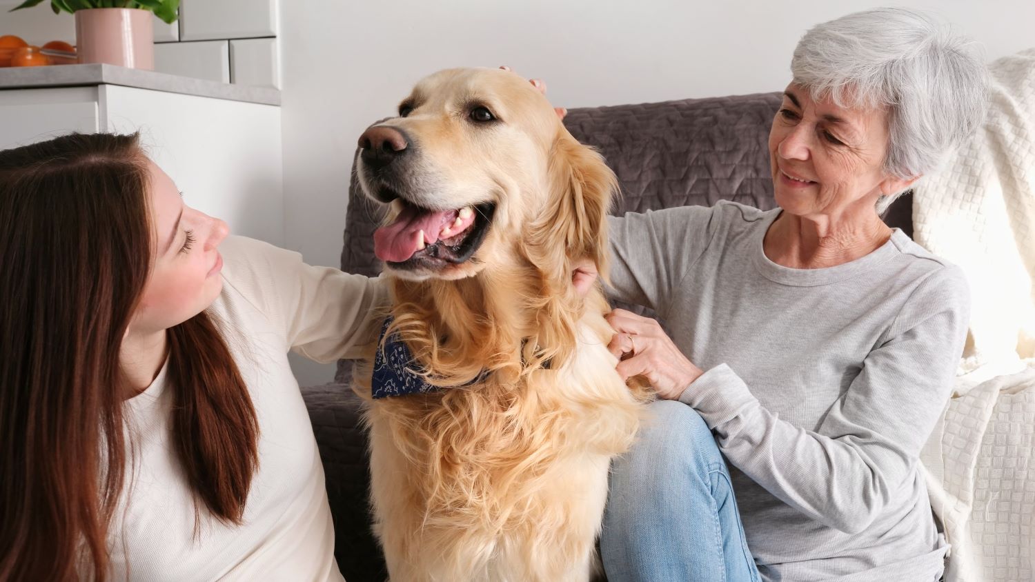 What is Pet Therapy for the Elderly?